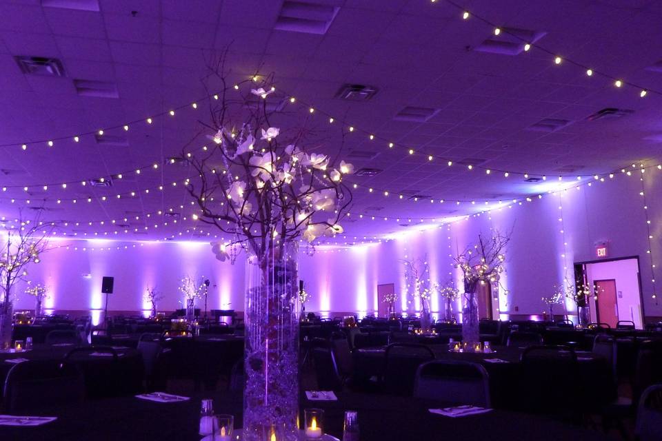 Duluth Event Lighting