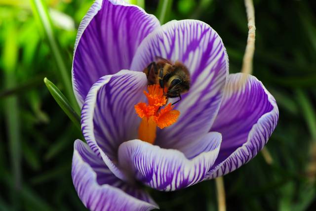 Beauty in nature