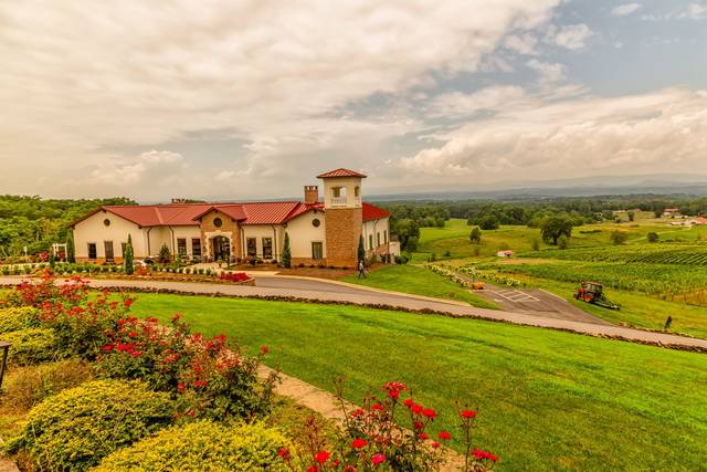 Piccione Vineyards