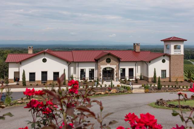 Piccione Vineyards