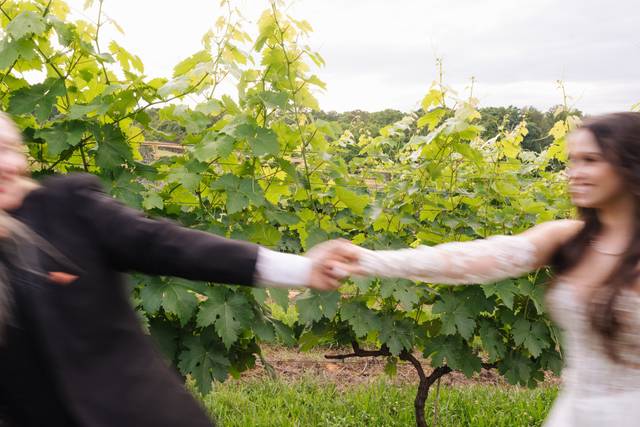 In the Vines