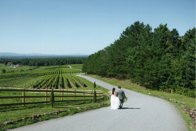 Our vines and evergreens
