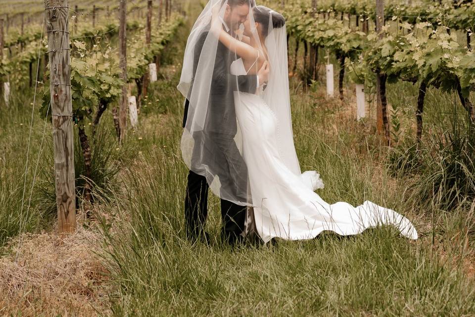 In the vines