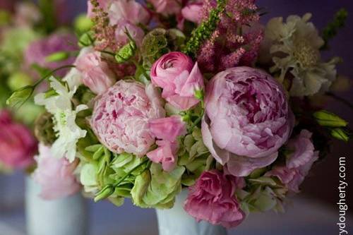 Pink  flowers