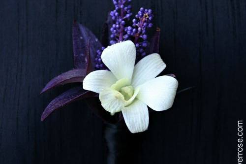 White petals