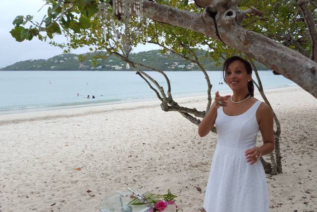 Island Mike Weddings