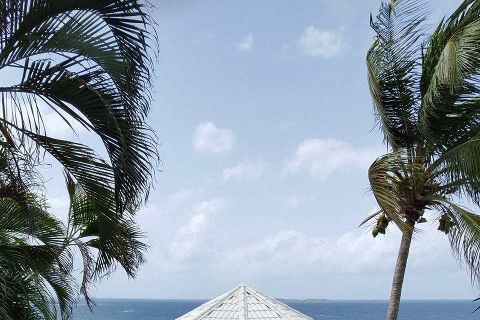 Island Mike Weddings