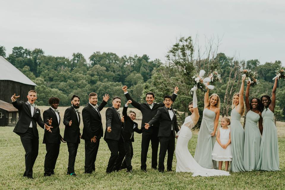 Wedding party on the lawn