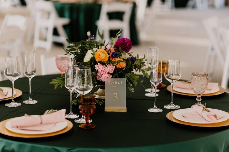 Tanya Noordyke's Weddings & Events LLC
