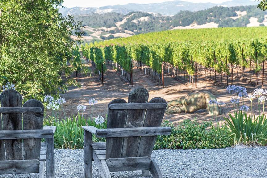 Starlite Vineyards