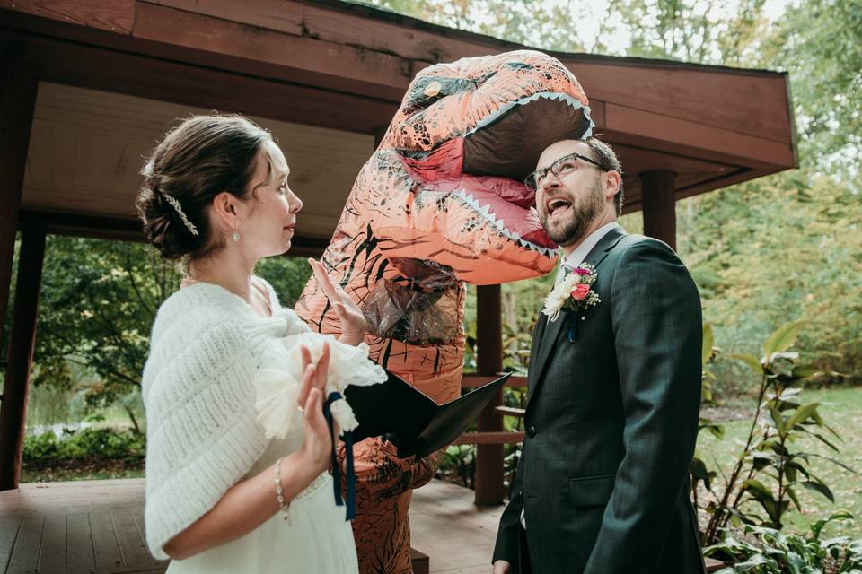 Yes, I own a T-Rex suit.