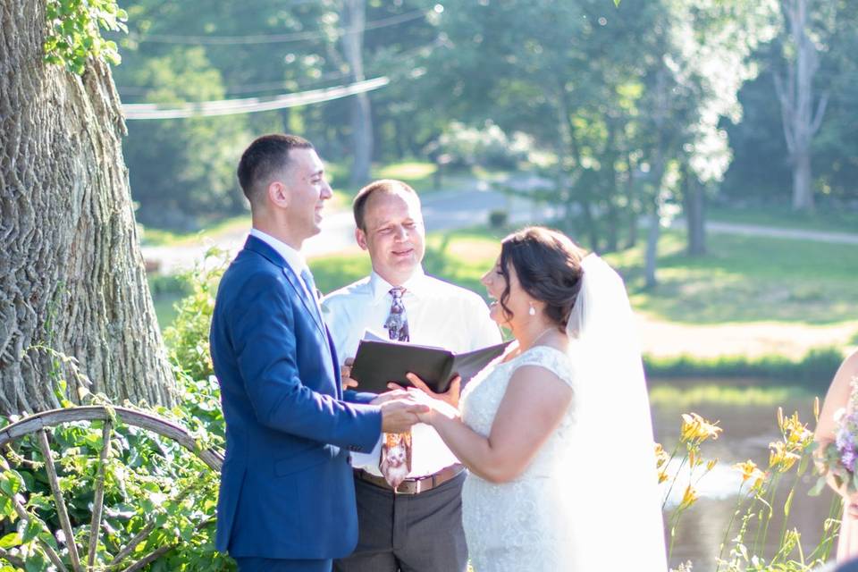 The Cat Wedding