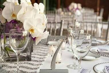 Star Studded Event & Wedding Planning