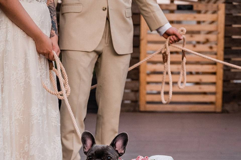 Bride's pup
