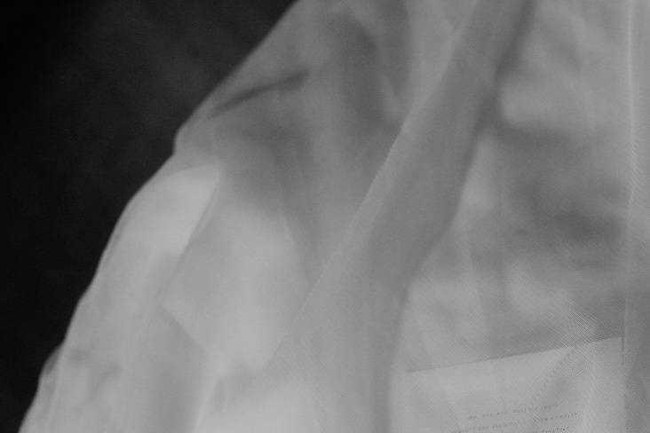 Philadelphia wedding video