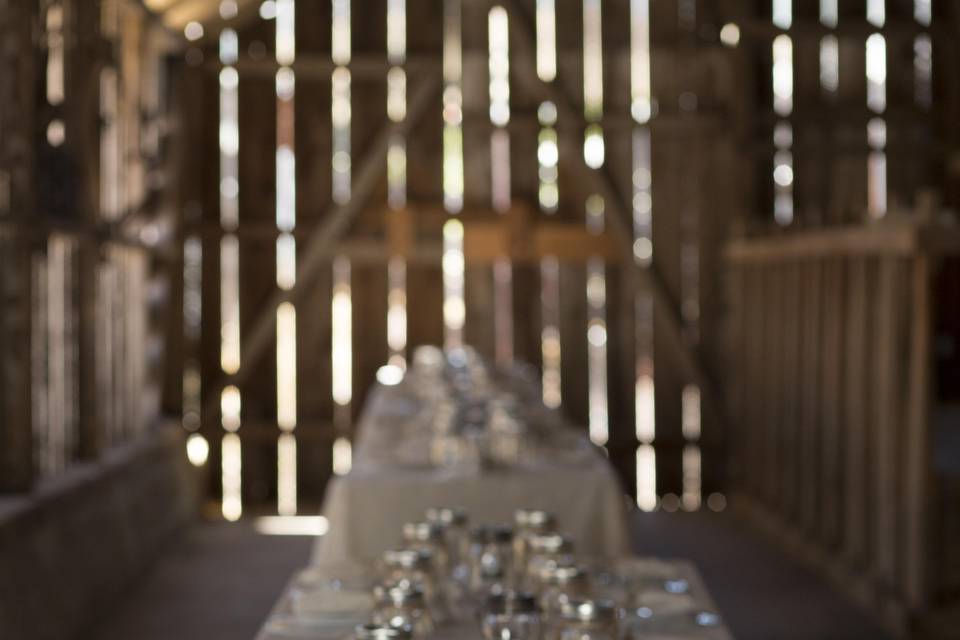 Nicole Lagesse Photography