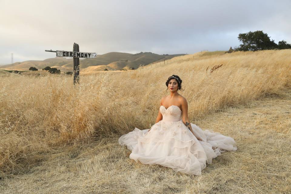 Nicole Lagesse Photography