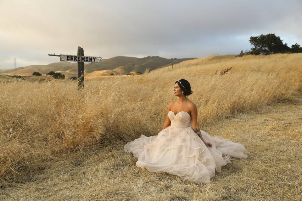 Nicole Lagesse Photography