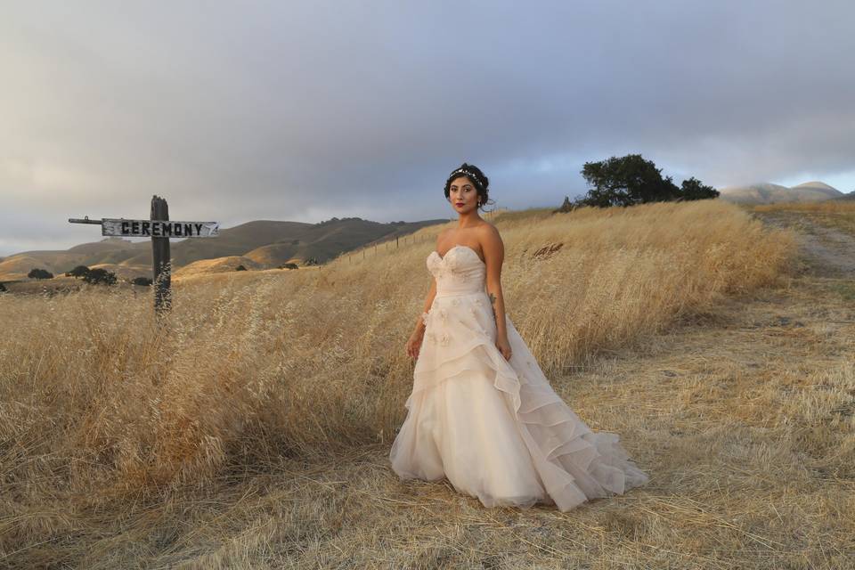 Nicole Lagesse Photography