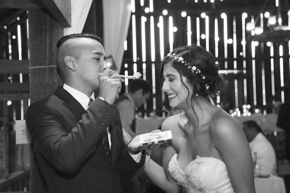 Nicole Lagesse Photography