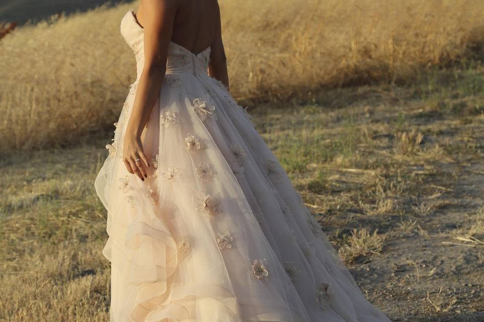 Nicole Lagesse Photography