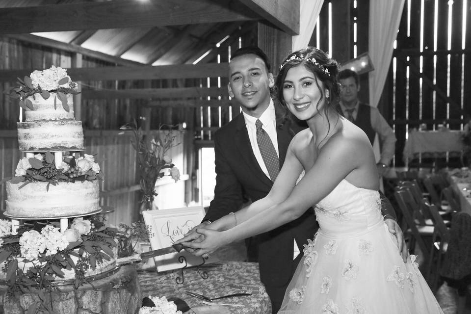 Nicole Lagesse Photography
