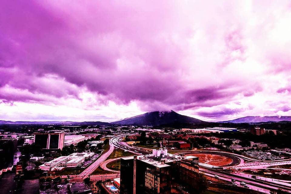 Purple View