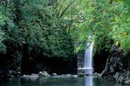 Taveuni Resort and Spa