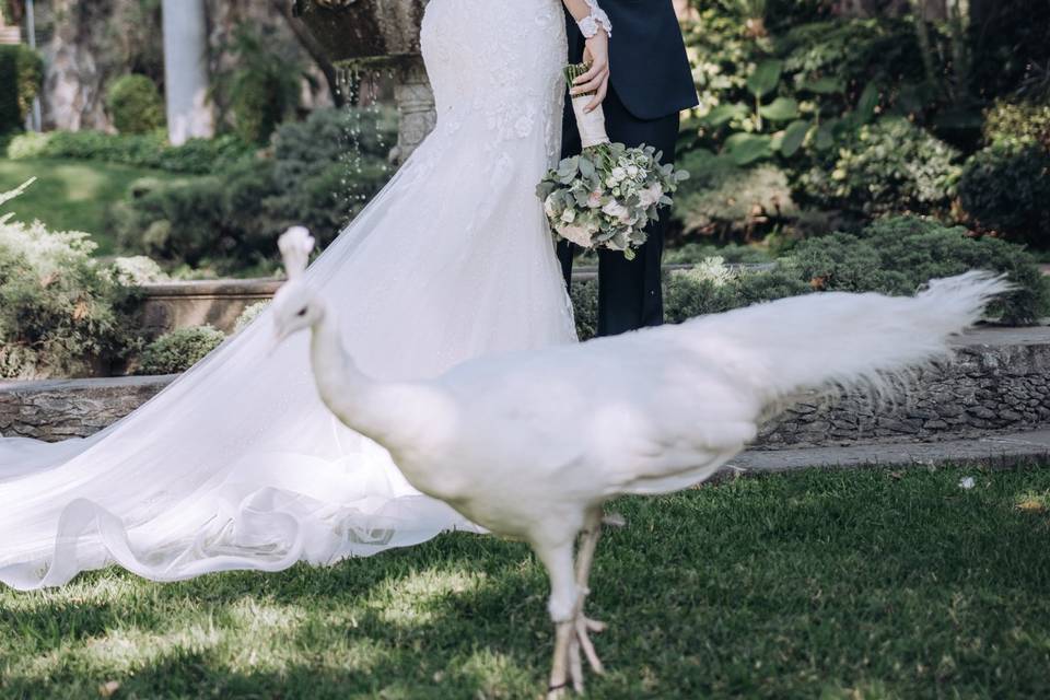 Arrebol Photography Cuernavaca MX WeddingWire