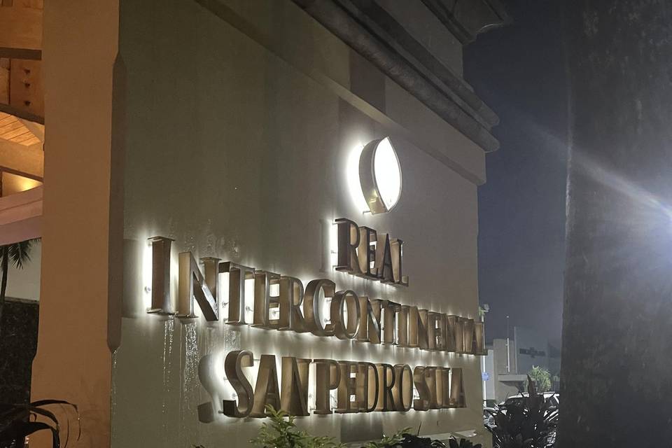 International show