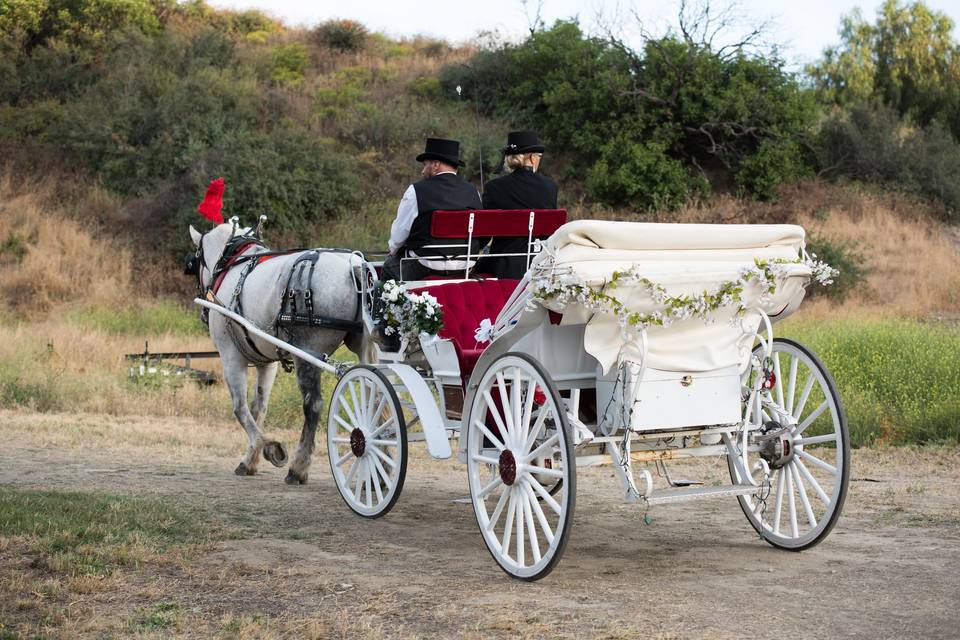 Horse carriage for the bride