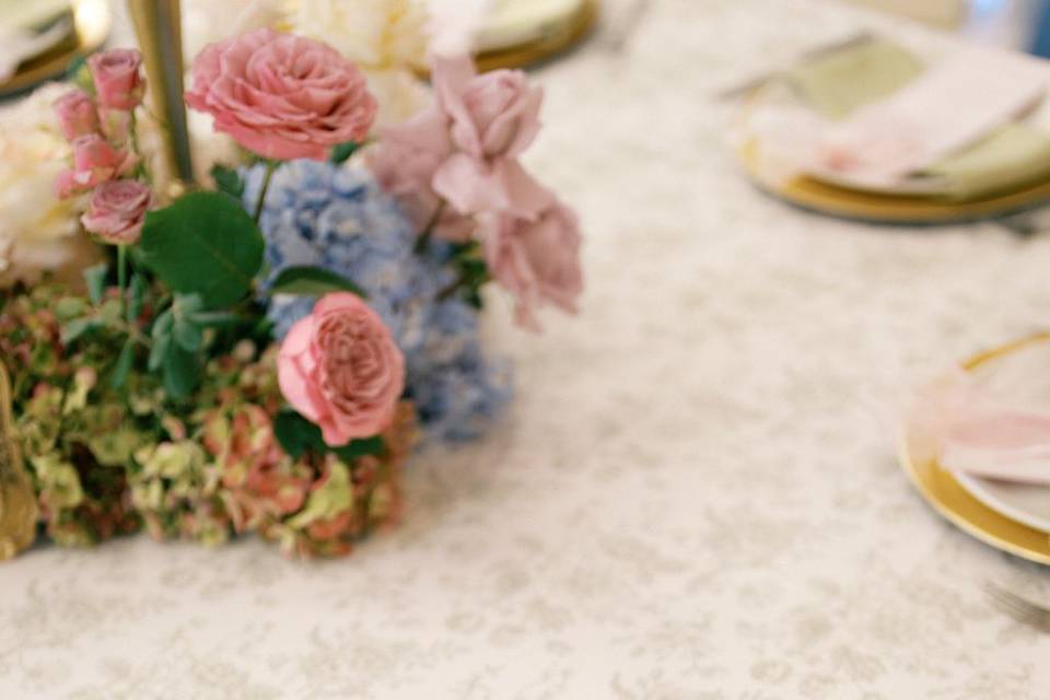 French Toile