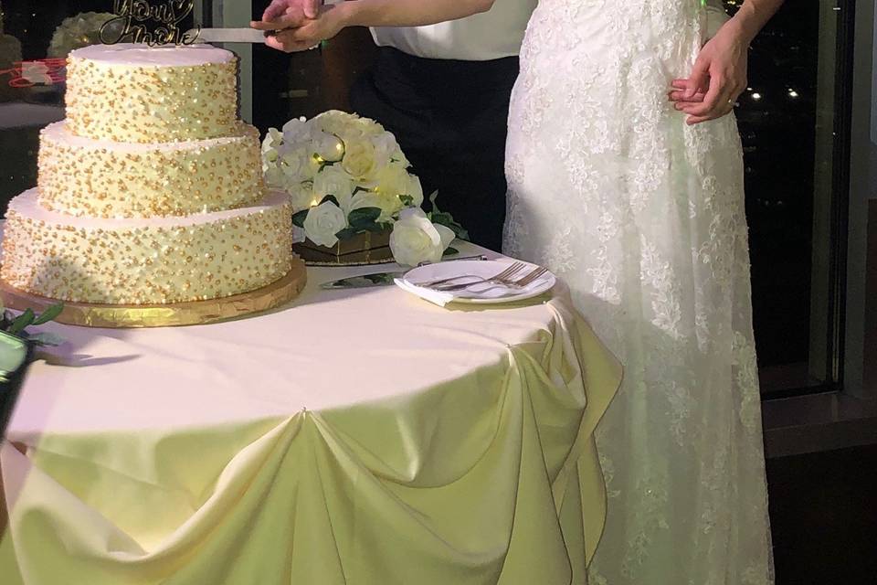 Cake Cutting