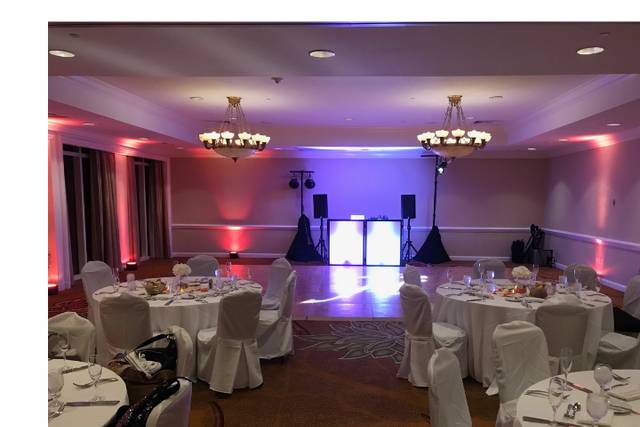 Elegance Meets the Dance Floor