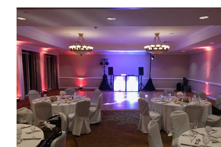 Elegance Meets the Dance Floor
