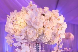 Butterfly floral & event design