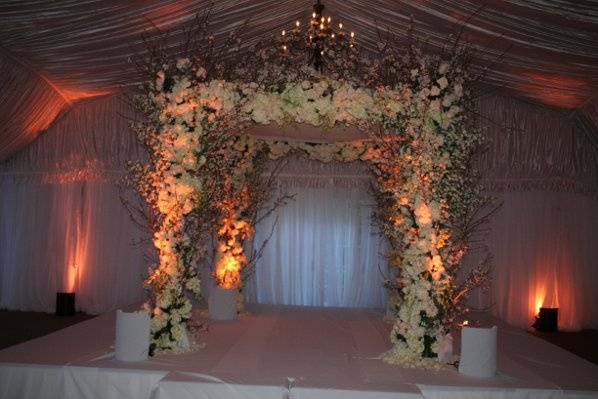 Butterfly floral & event design