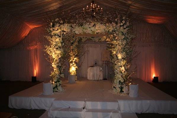 Butterfly floral & event design