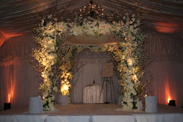 Butterfly floral & event design