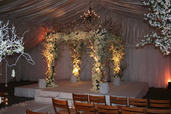 Butterfly floral & event design