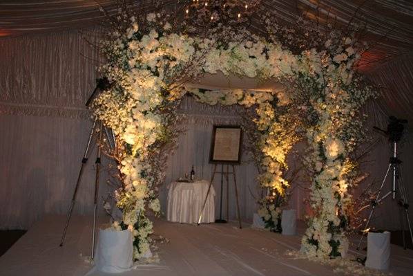 Butterfly floral & event design