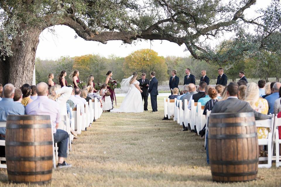 Under the oaks