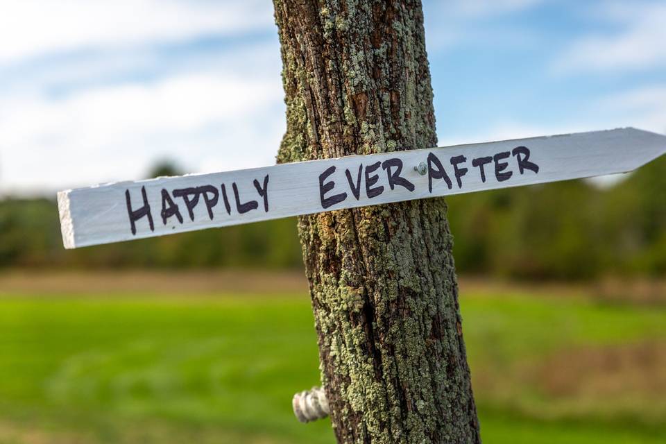 Happily Ever After