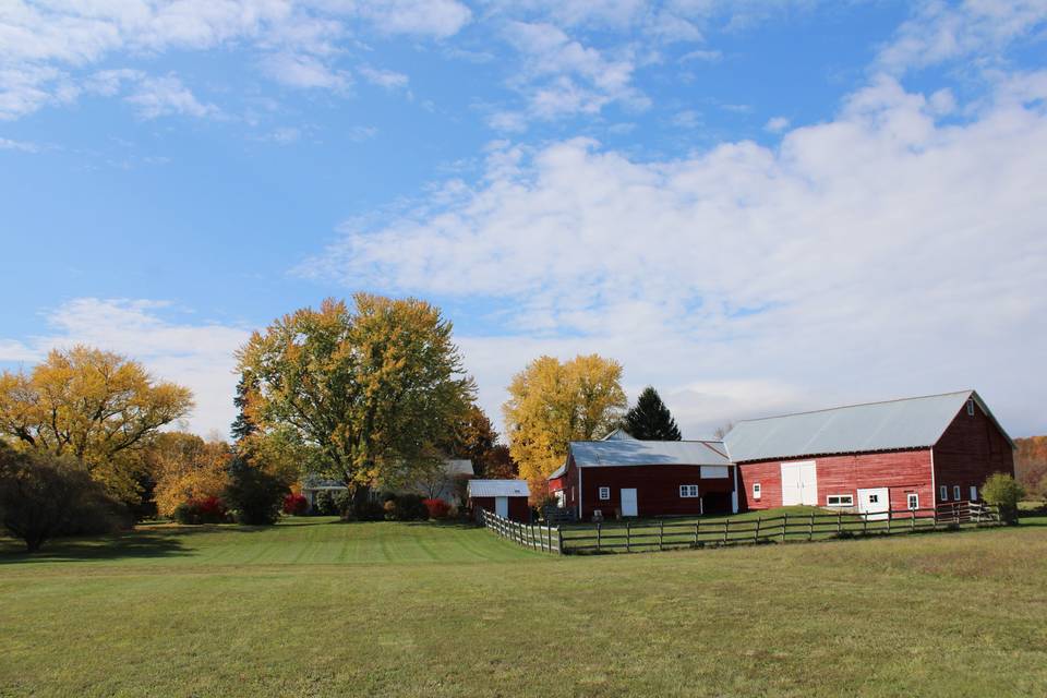 Fall on the Farm