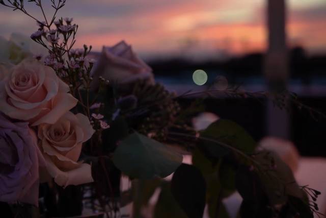 Sunset arrangements