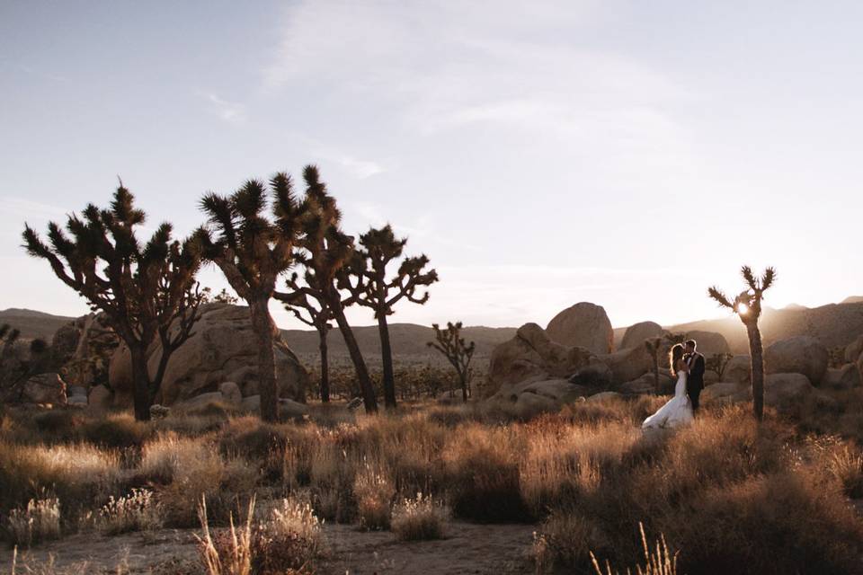 Desert Wedding