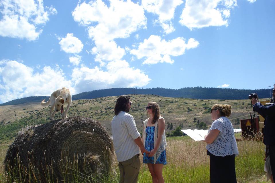 Outdoor wedding ceremony