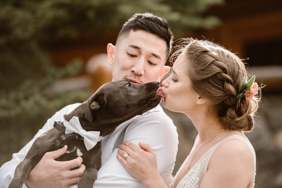 Colorado fall wedding