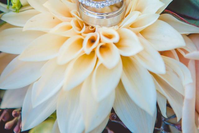 Showcasing the rings