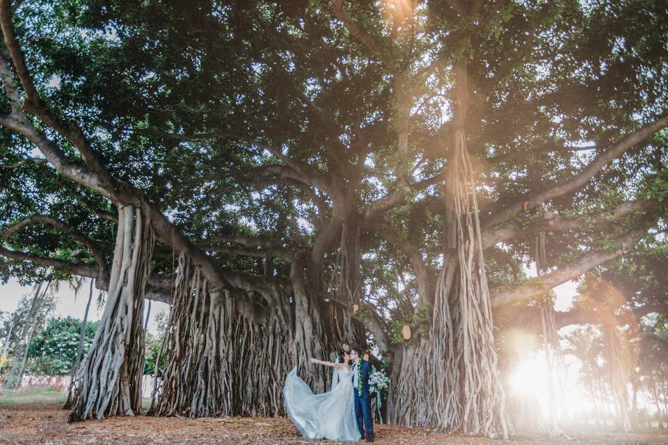 Waikiki Wedding